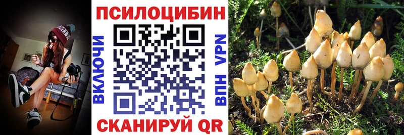 Галлюциногенные грибы GOLDEN TEACHER Кулебаки